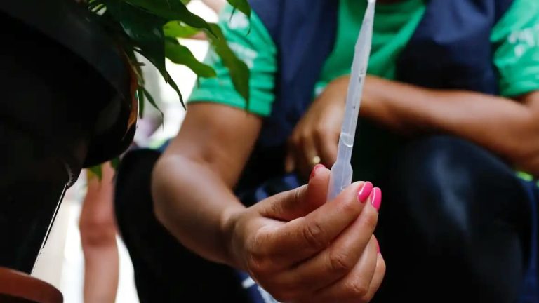 Vacinas contra a dengue serão distribuídas pelo país na próxima semana