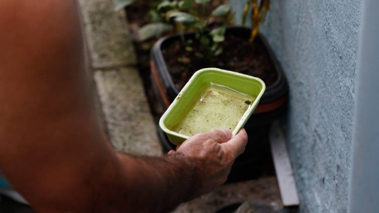 casos de dengue guanambi
