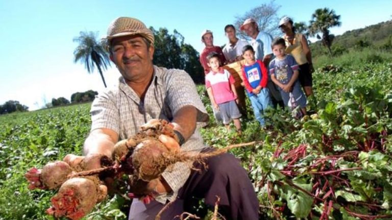 Edital Ater Bahia Sem Fome segue com inscrições abertas até 1º de abril