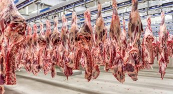 Brasil tem 38 novos frigoríficos habilitados a exportar carnes para China
