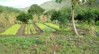 Incra divulgou relação de novos beneficiários da reforma agrária na Bahia