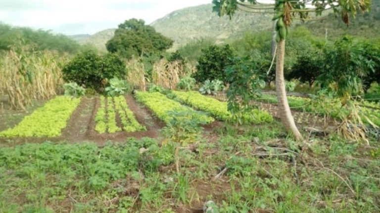 Incra divulgou relação de novos beneficiários da reforma agrária na Bahia