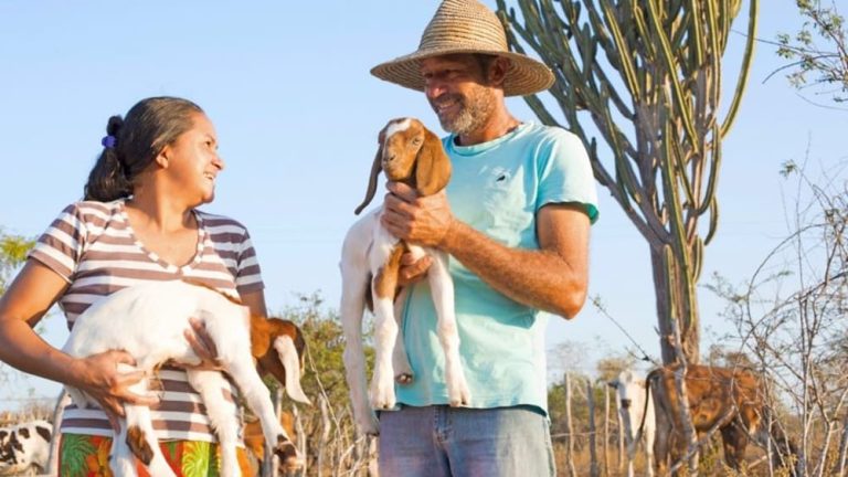 Projeto baiano é eleito o melhor do mundo pelo Fundo Internacional de Desenvolvimento Agrícola