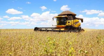 Colheita de soja no Oeste da Bahia atinge quase 50% da área plantada