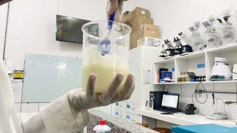 Estudantes baianos desenvolveram sabonete que acelera cicatrização