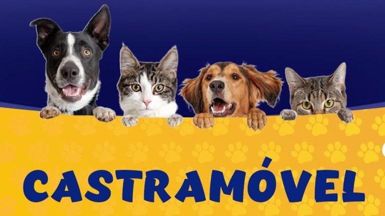 Vitória da Conquista contará com “Castramóvel” a partir desta quinta