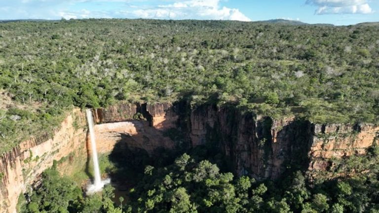ICMBio criou novas reservas e planos de proteção à caatinga e espécies ameaçadas
