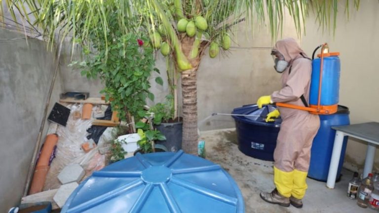 Cenário da dengue na Bahia tem tendência de queda