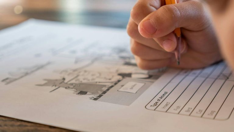Inscrições do concurso do CRN da 11º Região foram prorrogadas