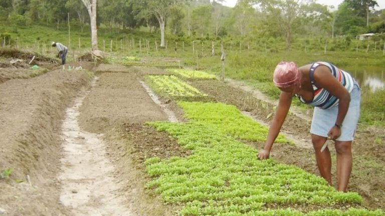 Novas famílias na Bahia foram inseridas no programa de reforma agrária