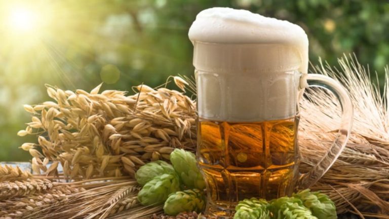 Brasil possui 1.847 cervejarias registradas, crescimento do setor foi de 6,8% em 2023