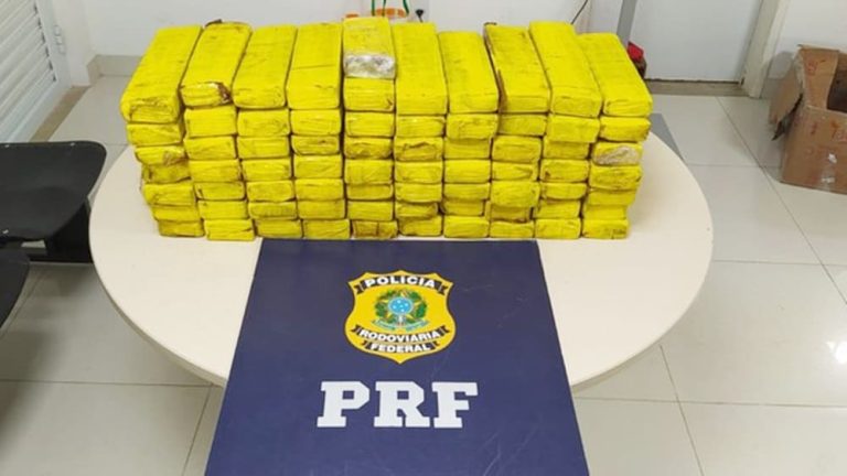 Cão farejador da PRF detectou 50kg de maconha durante abordagem em Vitória da Conquista