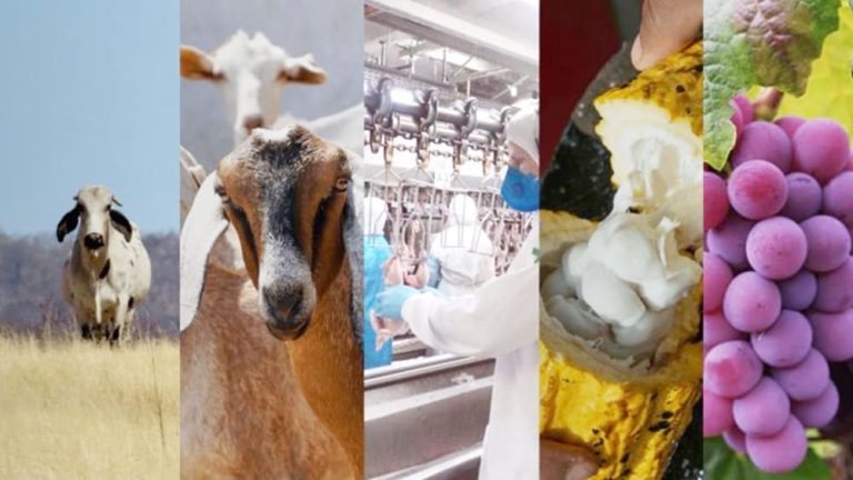 Adab implanta novo sistema de Defesa Agropecuária