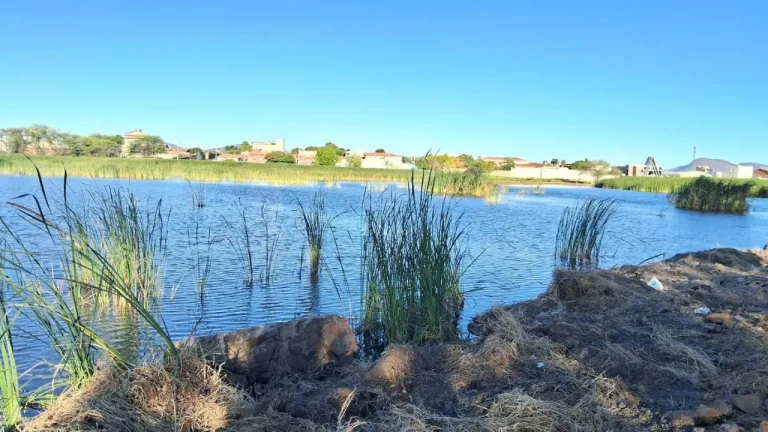 Lagoa de João Amaral1