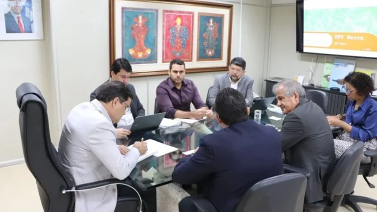 Empresa propõe criação de hub de energia renovável em Sebastião Laranjeiras, Palmas de Monte Alto e Iuiu