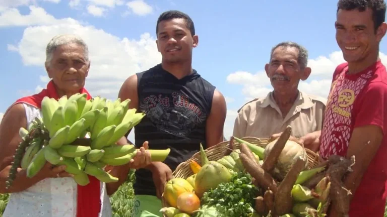 Edital de Apoio às Agroindústrias Dinâmicas na Bahia teve inscrições prorrogadas