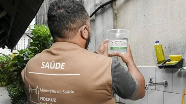 Fêmeas do Aedes Egypt com larvicida serão usadas pelo Ministério da Saúde para combater dengue