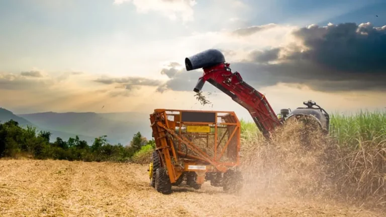 Exportações do Agronegócios atingiram US$ 15,2 em julho
