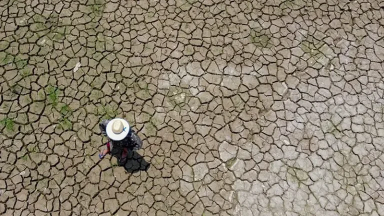 Seca já afeta cheias e secas na Amazônia