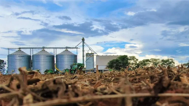 Fazenda oferece vagas de emprego para técnicos e outras áreas no Oeste da Bahia