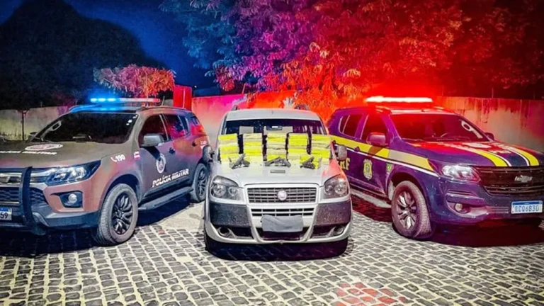 PRF e PM apreenderam 50 quilos de cocaína em Ibotirama