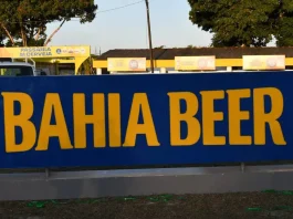 Bahia Beer