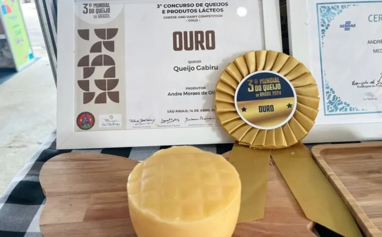 1º Festival do Queijo Artesanal da Bahia abriu inscrições