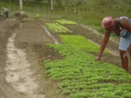 editais assentamentos reforma agrária bahia