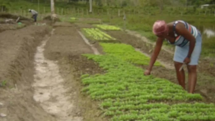 editais assentamentos reforma agrária bahia