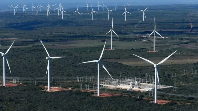 Nordeste registrou recorde de geração de energia eólica
