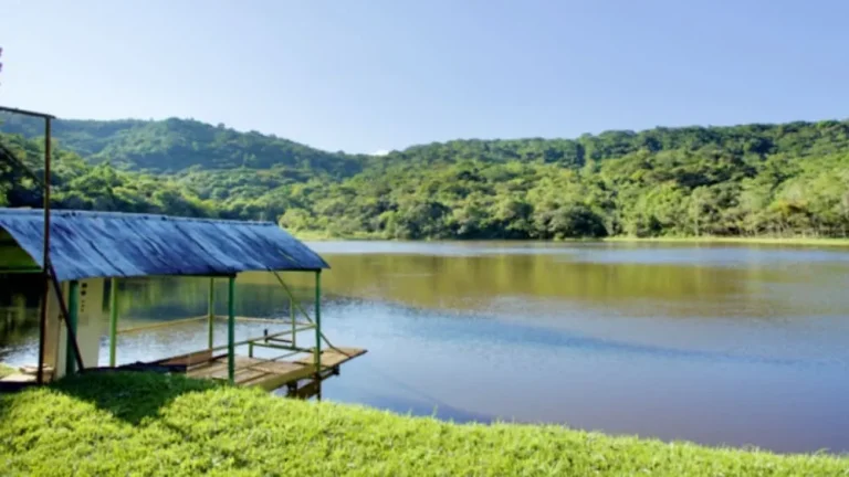 Inema certificou nova área para reintrodução de animais silvestres na Bahia