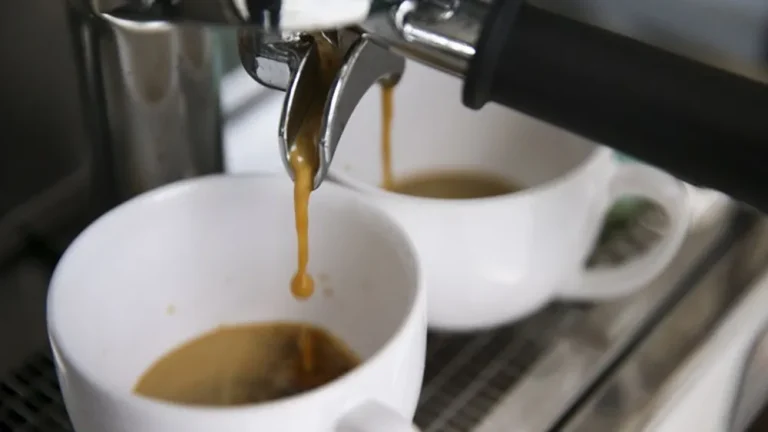 Brasil exportou 48,17 milhões de sacas de café com faturamento de US$ 10,14 bilhões no acumulado de doze meses
