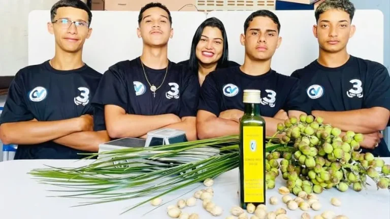 Estudantes baianos desenvolvem biocombustível sustentável a base de licuri