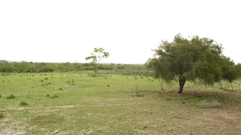 Assentamento da Reforma Agrária foi criado em área de 556 hectares na Bahia