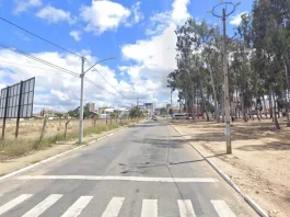 Transito FIB 2024