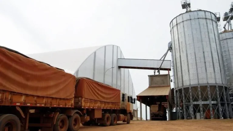 Bahia lidera exportações agrícolas no Nordeste em 2024