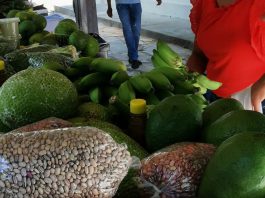 Feira Agroecológica Seapo