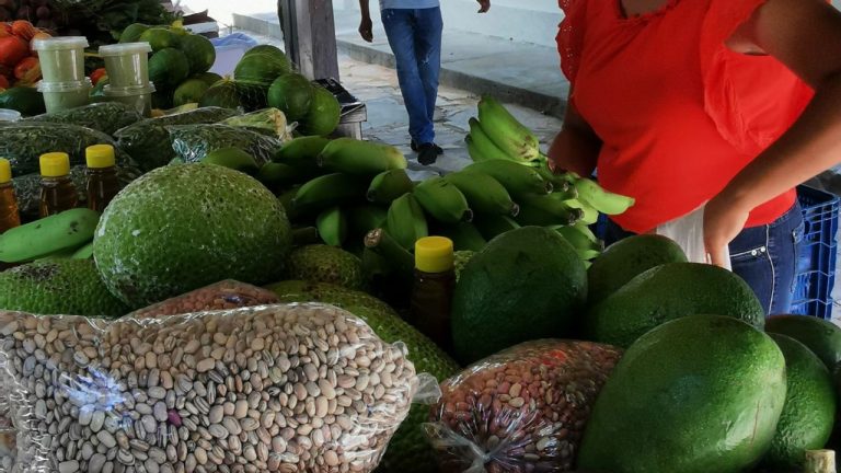 Feira Agroecológica Seapo