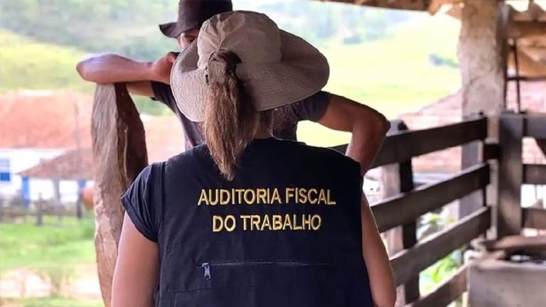 Maior operação da história contra trabalho escravo resgatou 593 trabalhadores