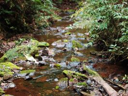 Córrego do Jambreiro Rio Sao Francisco