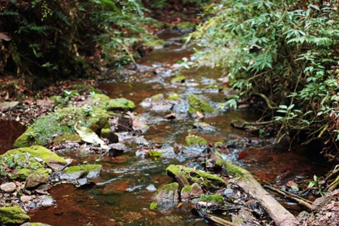 Córrego do Jambreiro Rio Sao Francisco