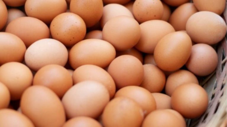 Ovos