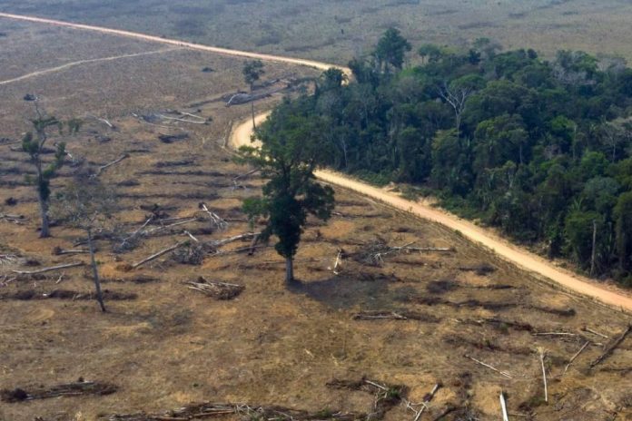 Desmatamento Amazônia