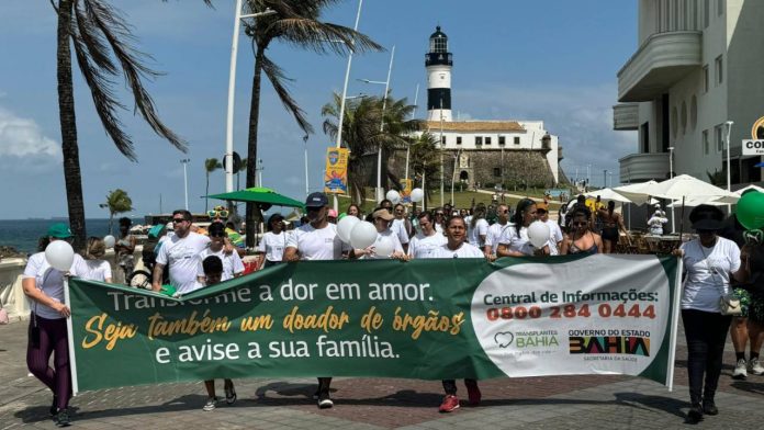 Doação de órgãos Bahia