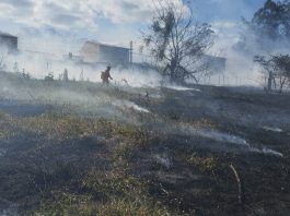 incendios florestais vitoria da conquista