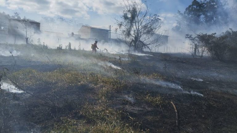 incendios florestais vitoria da conquista