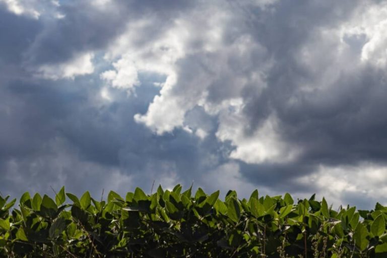 Monitoramento aponta enfraquecimento da La Niña e tendência de neutralidade no Pacífico