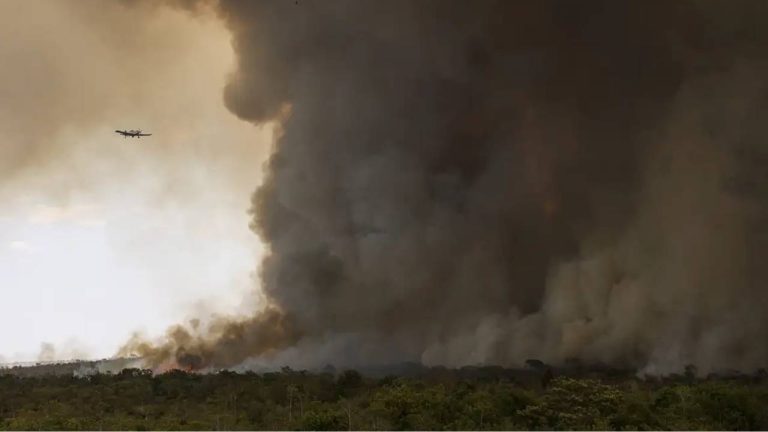 Parque Nacional de Brasília tem 700 hectares atingidos pelo fogo que avança