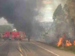 Incendio caminhão carne br-116 vitória da conquista