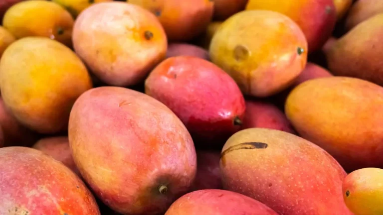 Queda nas exportações faz preço da manga despencar e preocupa produtores na Bahia